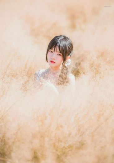 赵雅芝